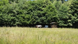 Gîte de France Le rouzeyrol 3 épis - Gîte de France 12 personnes MAE-9674 - - 9