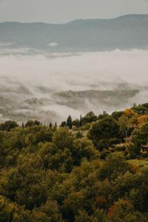 All the Tuscany you're looking for - Castelfranco Piandisco - 5
