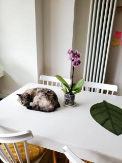 A Happy Home! - 4