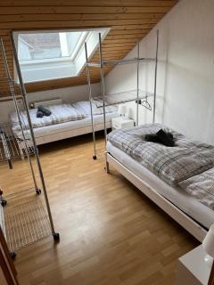 Ferien/Monteur Wohnung Gapp - Bad Waldsee - 8