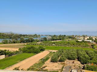 La Barcassa de Deltebre - 6