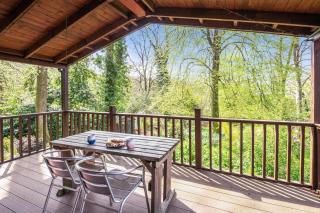 Woodland Views Lodge - Milton Abbas - 9