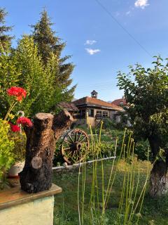 Guest House Rila - Govedartsi - 6