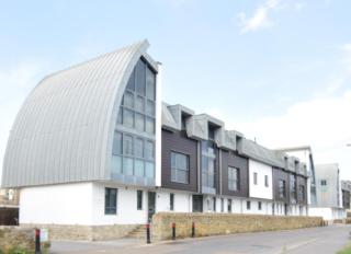 Driftwood - West Bay - 0