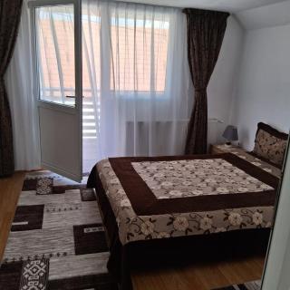 Casa de vacanta Alina Transfagarasan - 5
