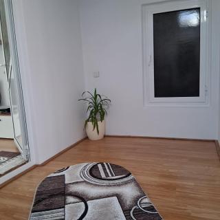 Casa de vacanta Alina Transfagarasan - Cîrţişoara - 8