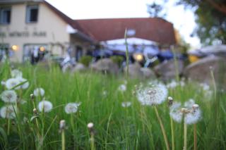 Hotel Müritz-Park - Boek - 5