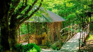 Qala Masalli Resort - 4