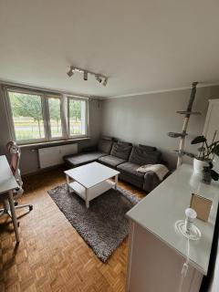 Grunwald apartment - 8