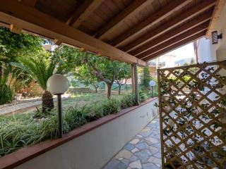 Apartment Lemon Tree - 1