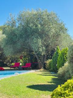 Mas de Provence en Riviera - 2