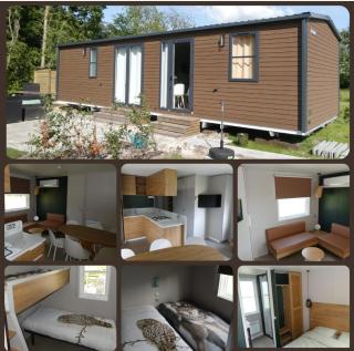 3-persoons 4-persoons en 6-persoons chalet Drenthe - Hoogersmilde - 7