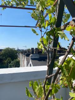 Modern 2-Bed Penthouse on Iconic Abbey Road & Large Terrace - Londra - 8