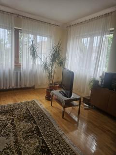 Grande Villa Andrei Muresanu - 6