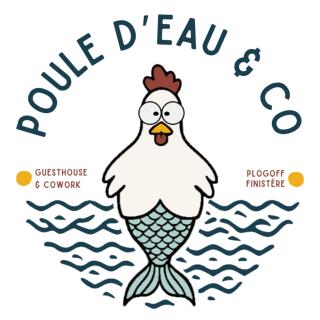Poule d'eau - 6