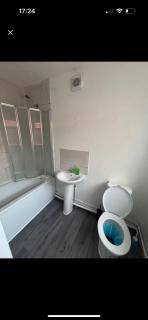 Maze Rentals - Fallings Park - 4