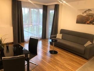 Falcon Apartment - Krakow - 6
