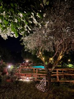 Villa Claudia - Montecatini Terme - 4