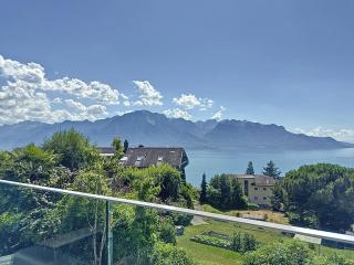 Riviera House Montreux, un lieu magique ! - Montreux - 9