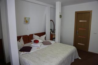Vila Aosta 21 - Sinaia - 9