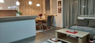 City center apartment Skopje - Skopje - 5