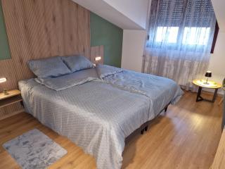 Apartmani i sobe PARK - Soba 1 - Apatin - 0