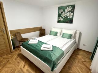 Luxury Apartment - Făgăraş - 9