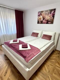 Luxury Apartment - Făgăraş - 8