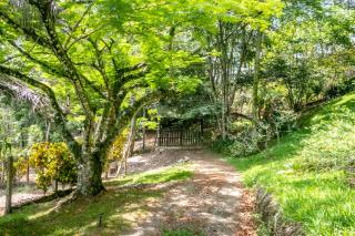 3BR Riverside Secret Retreat - Jarabacoa - 8