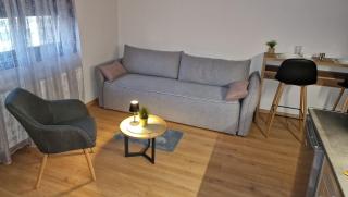 Apartmani i sobe PARK - Studio apartman 3 - Apatin - 4