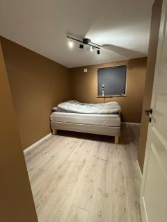 Basement apartment - 3