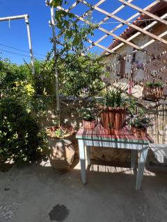 Elol stone house - 5