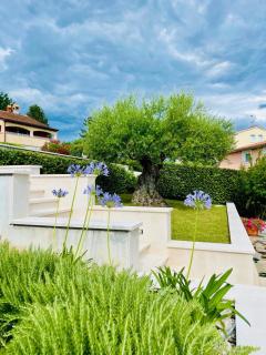 Villa Ulivo Apartments - 9
