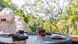 Private Luxury Jungle Villa - 7