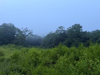 Camping rancho victoria - 4