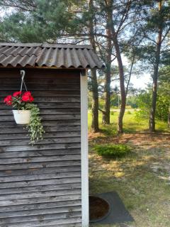 Summer holiday house Vizuli - Bernāti - 1