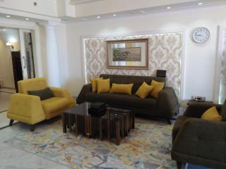 Luxury Apartment - 2