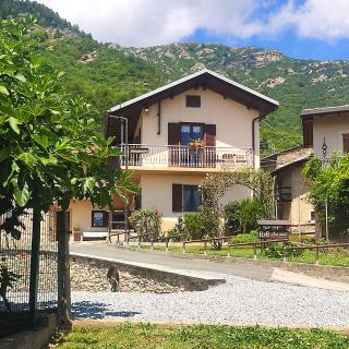 Il cuore dei Foresti - 0