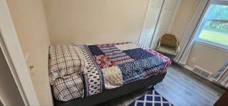 Large Ranch 4 Bedrooms, Quiet Neighborhood - East Lansing - 4