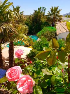 Cortijo Paraiso - Cúllar de Baza - 8
