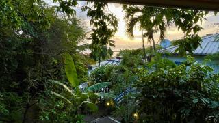Location gîte bungalow à 70m de la plage - 7