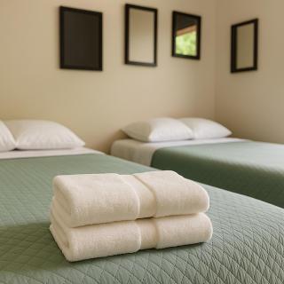 Hotel Boutique The Green Jungle House - 5