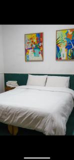 Travels Hotel - Osorno - 6