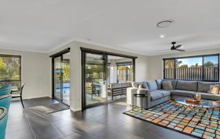 Elegance on Callisia - 3