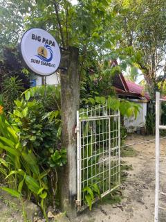 BIG PAPA - Surfers Homestay - 0