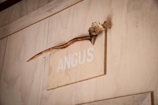 Riverstone Acres - 3