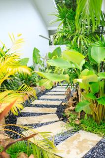 Bang Po Hut Nature - 7