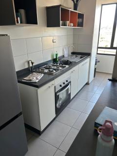 Gran Departamento Concepción - Concepción - 9
