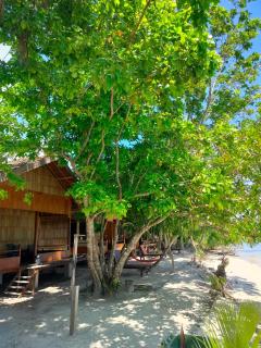 Dorey Dive Homestay - 7