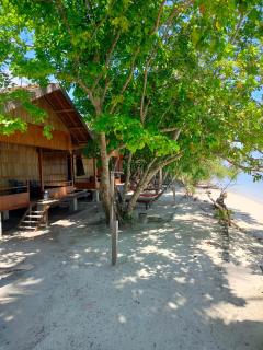 Dorey Dive Homestay - 6